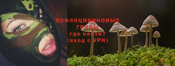 хмурый Лиски