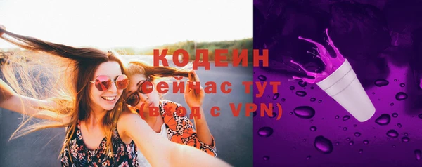 хмурый Новозыбков