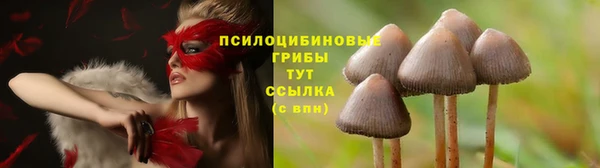 марки nbome Ладушкин