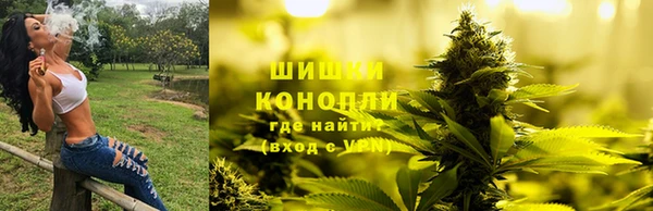 spice Богданович