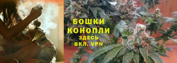 хмурый Лиски