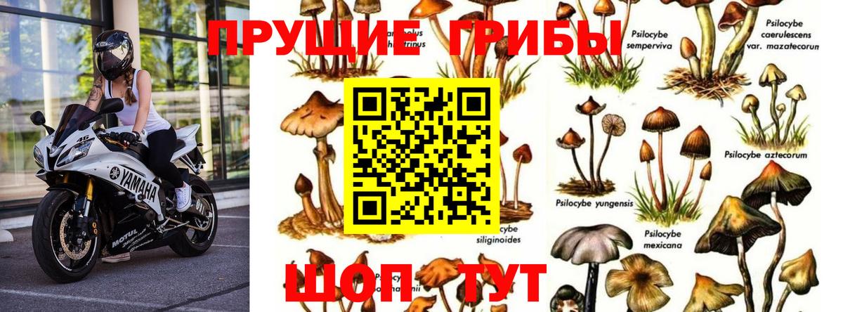 Галлюциногенные грибы GOLDEN TEACHER Учалы