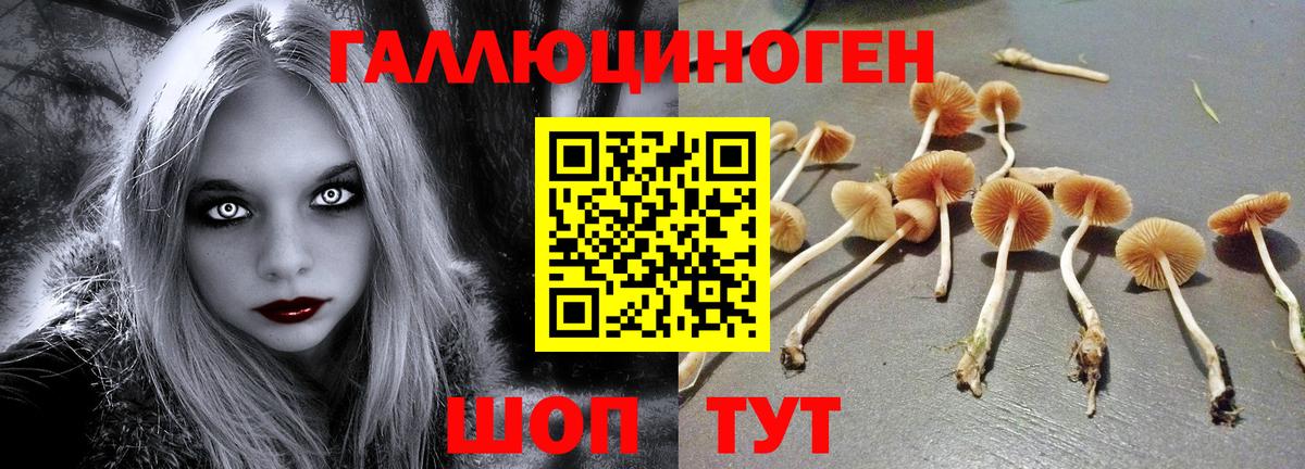 Псилоцибиновые грибы Magic Shrooms  сколько стоит  Учалы 