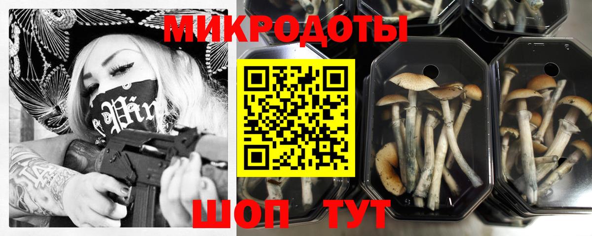 Псилоцибиновые грибы Psilocybe Учалы