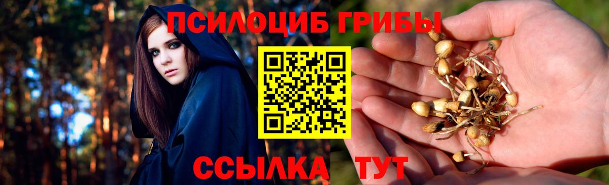 что такое наркотик  Вход с VPN  Учалы  Псилоцибиновые грибы Magic Shrooms  Псилоцибиновые грибы Psilocybe 